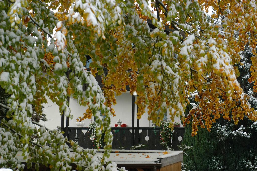 Landhaus Alpenblick Appartement